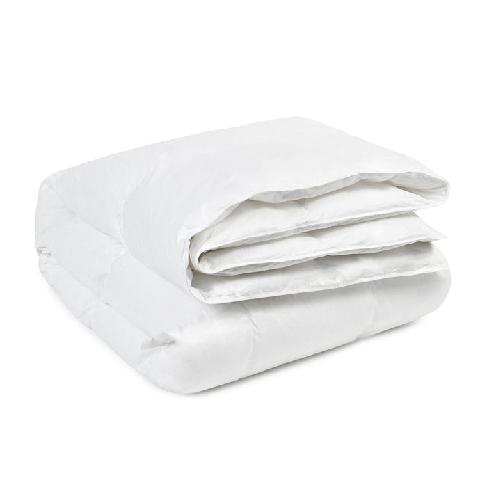 Bedding Basics
