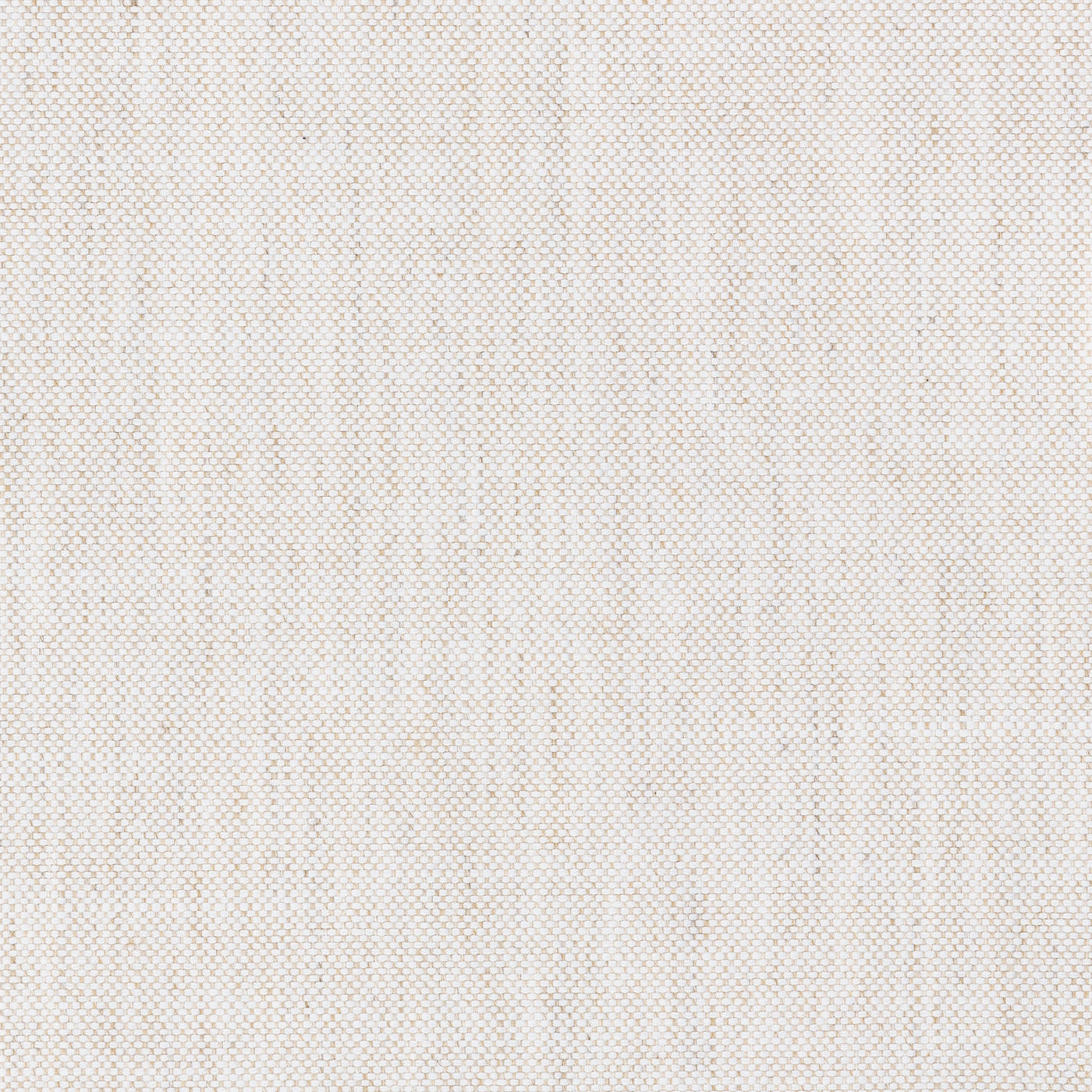 Classic Custom Swatch - Large