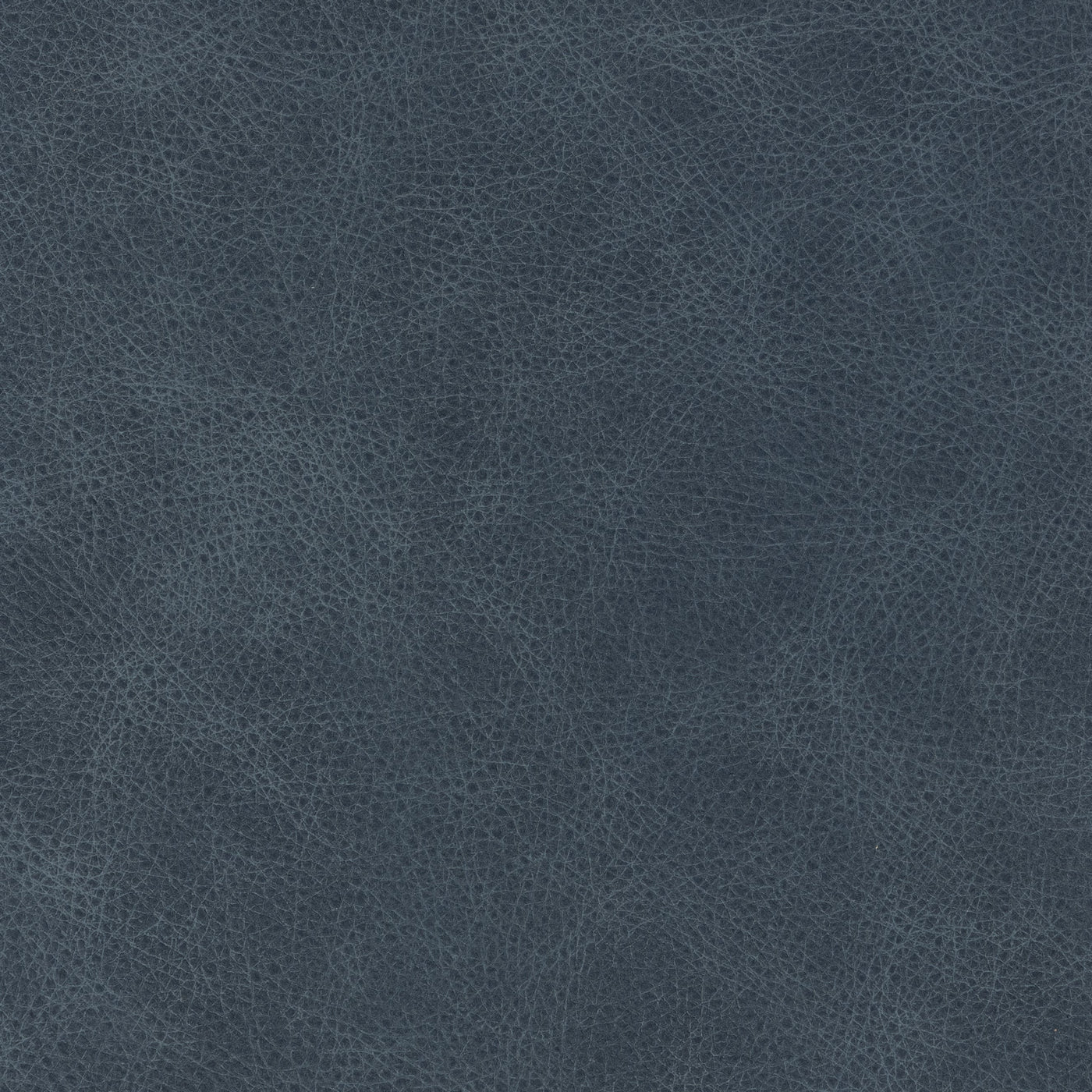Classic Custom Swatch - Large