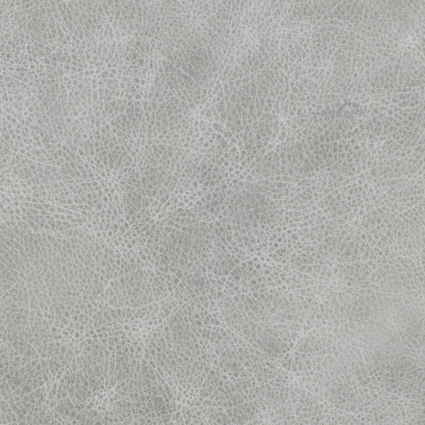 Classic Custom Swatch - Large