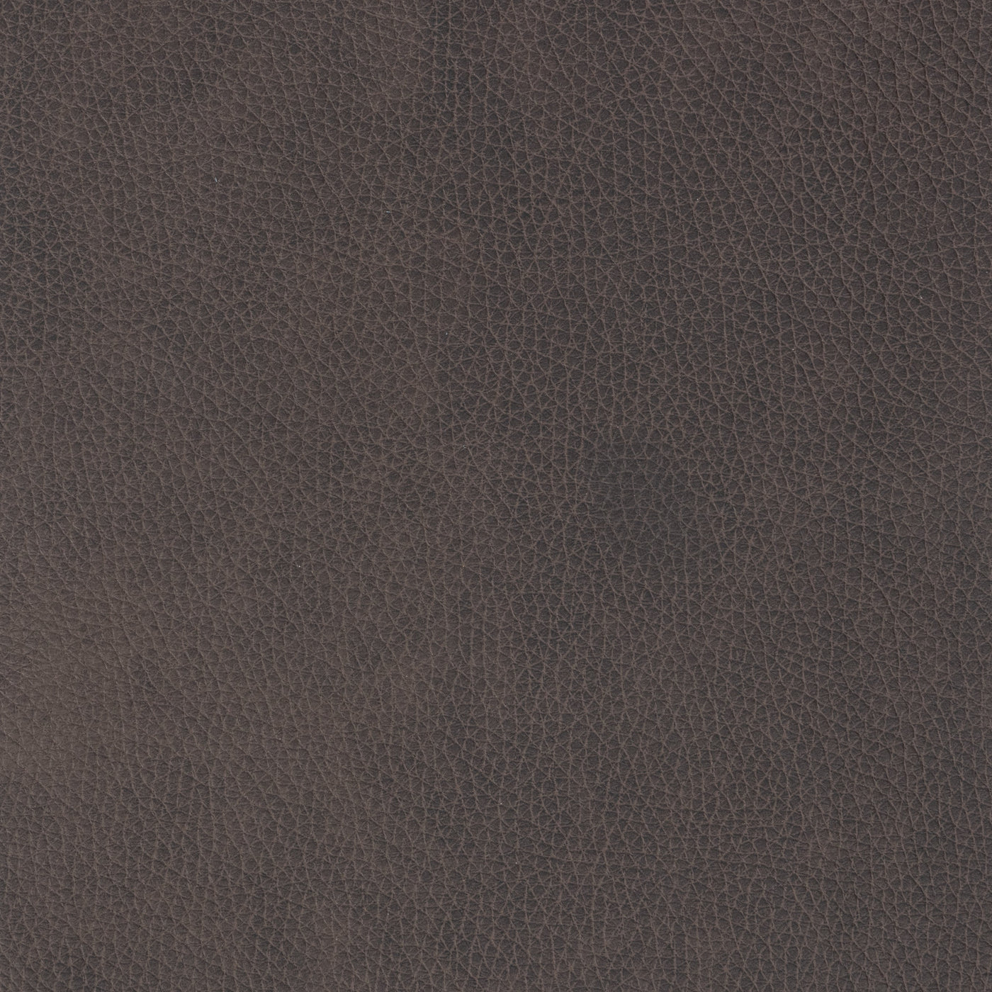 Classic Custom Swatch - Large