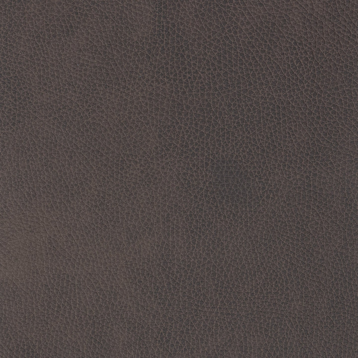 Lush Chocolate fabric swatch