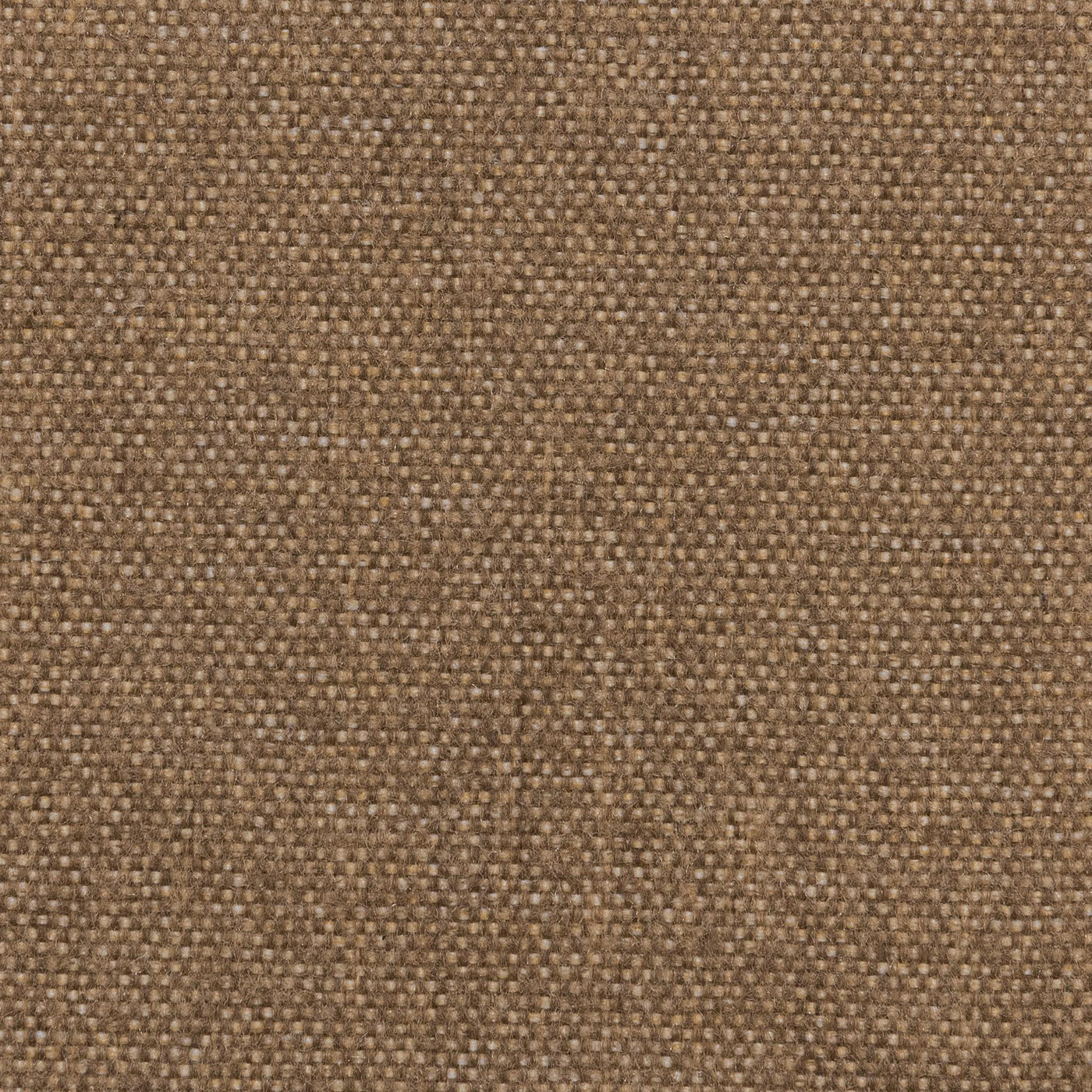 Classic Custom Swatch - Large