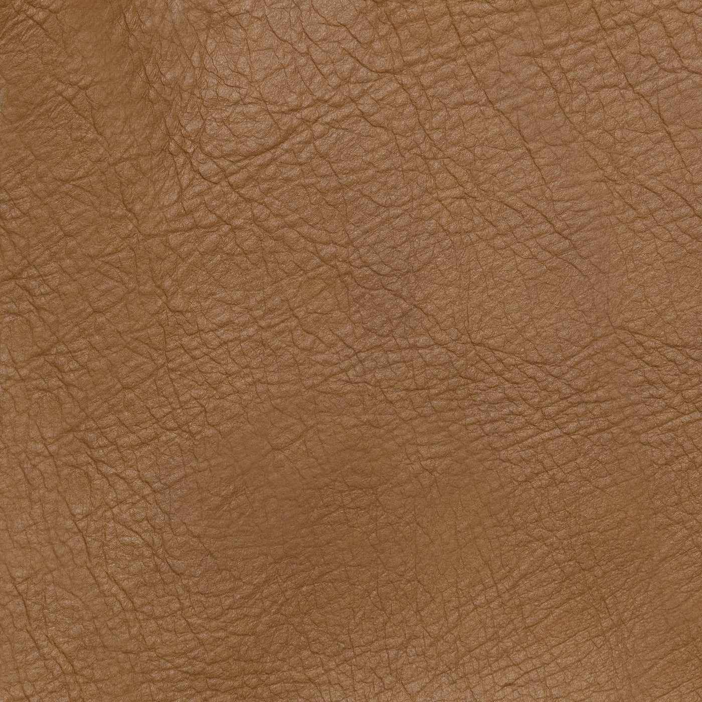 Classic Custom Swatch - Large