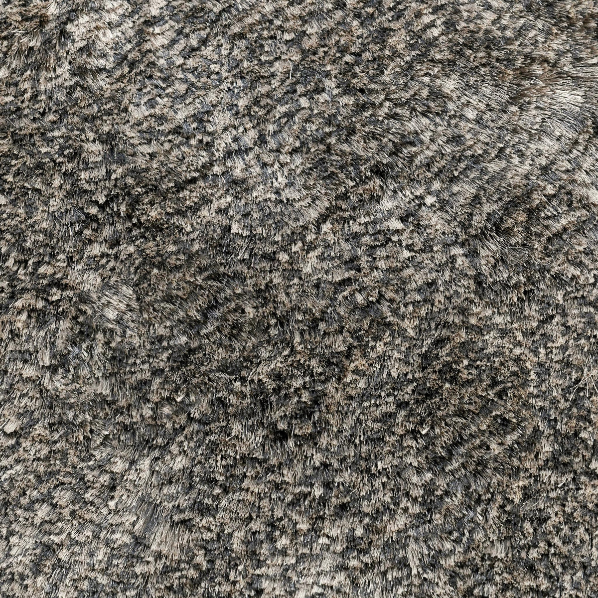 Carter Rug