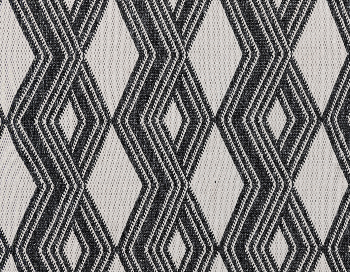 Indoor/Outdoor Banning Rug