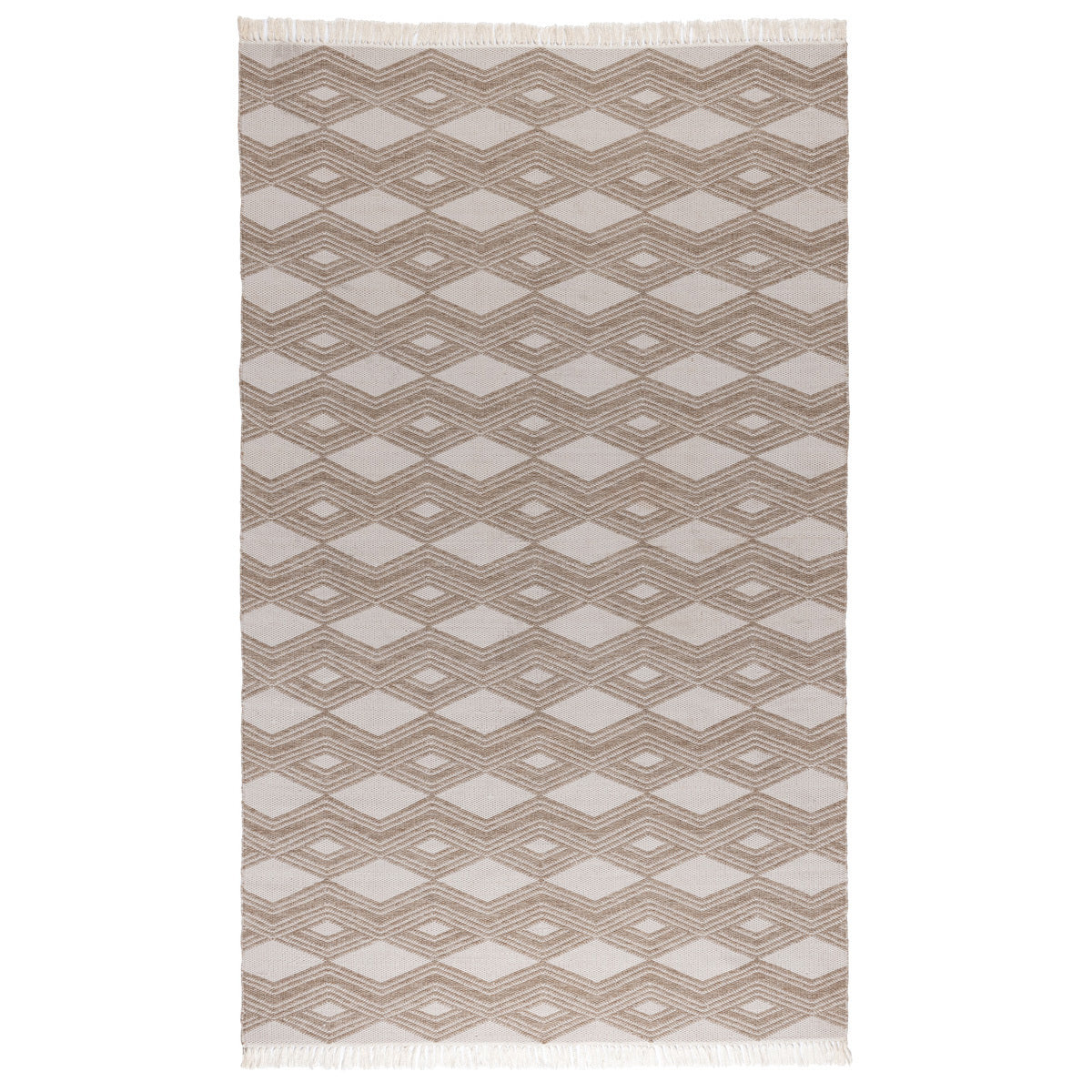 Indoor/Outdoor Banning Rug