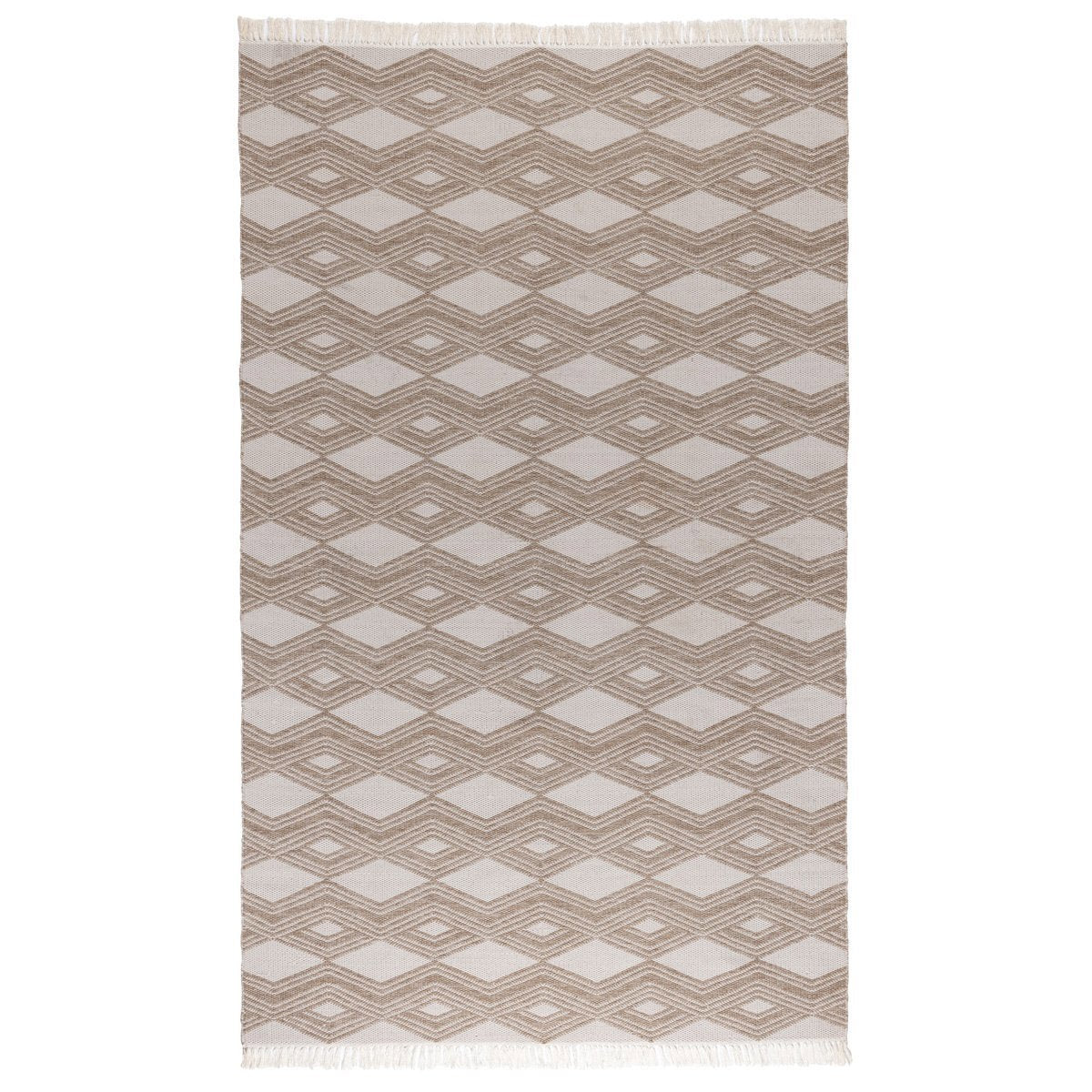 Indoor/Outdoor Banning Rug