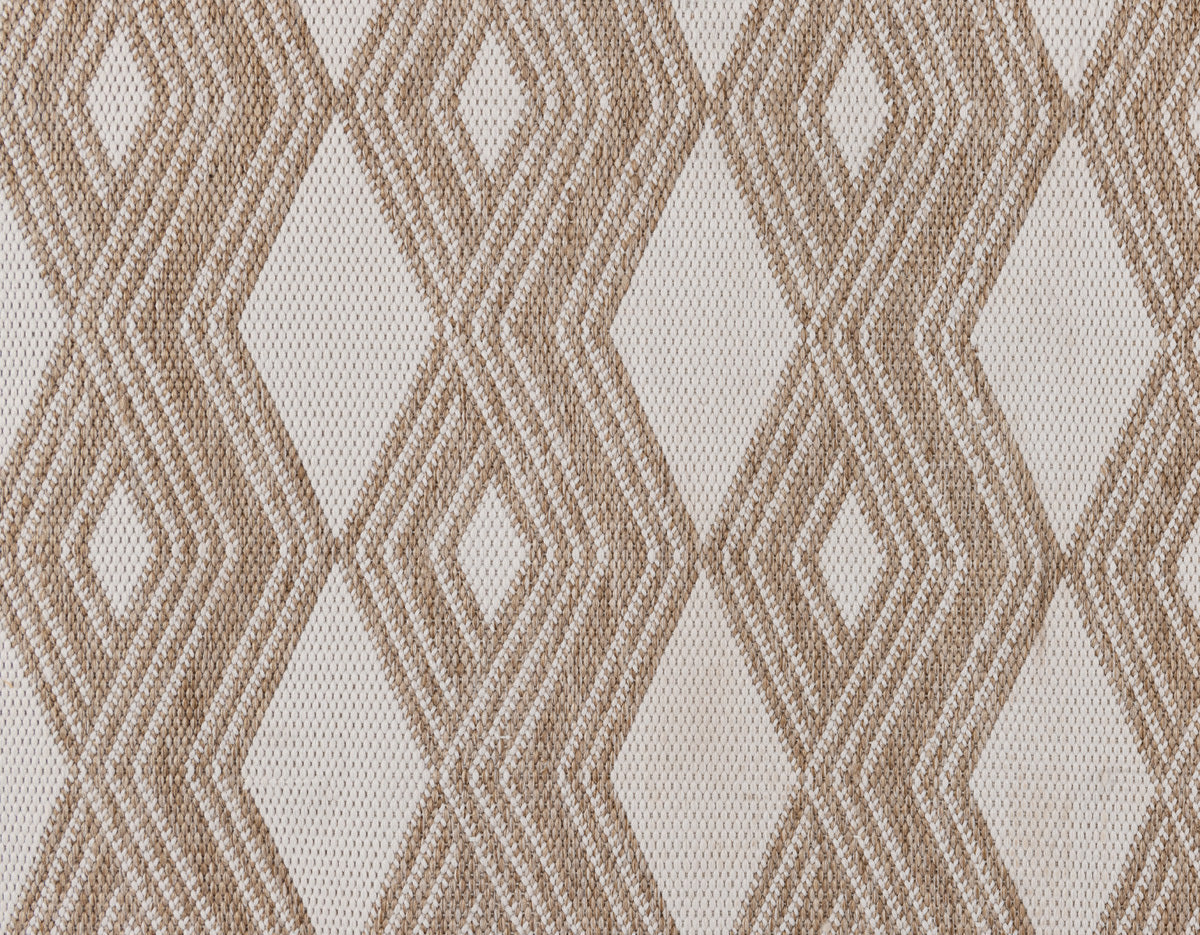 Indoor/Outdoor Banning Rug