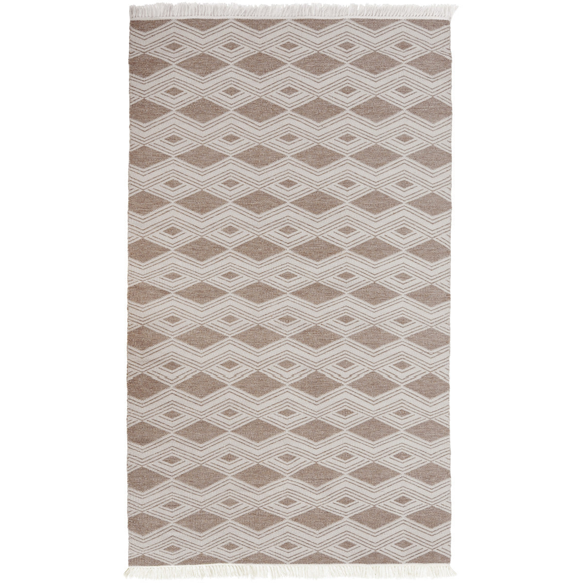Indoor/Outdoor Banning Rug