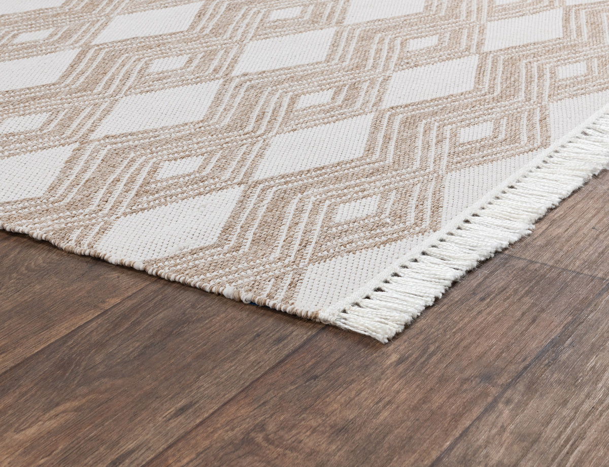 Indoor/Outdoor Banning Rug