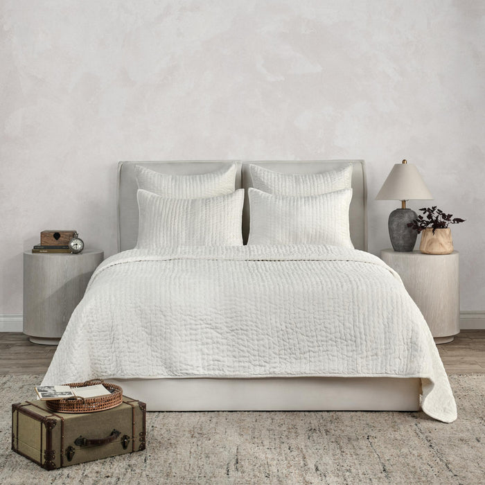 Bari Velvet Quilt Collection