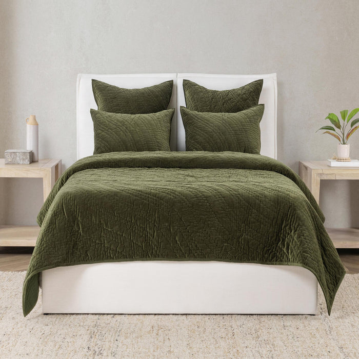 Elms Velvet Quilt Collection