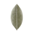 SLD Heirloom Velvet Pillow