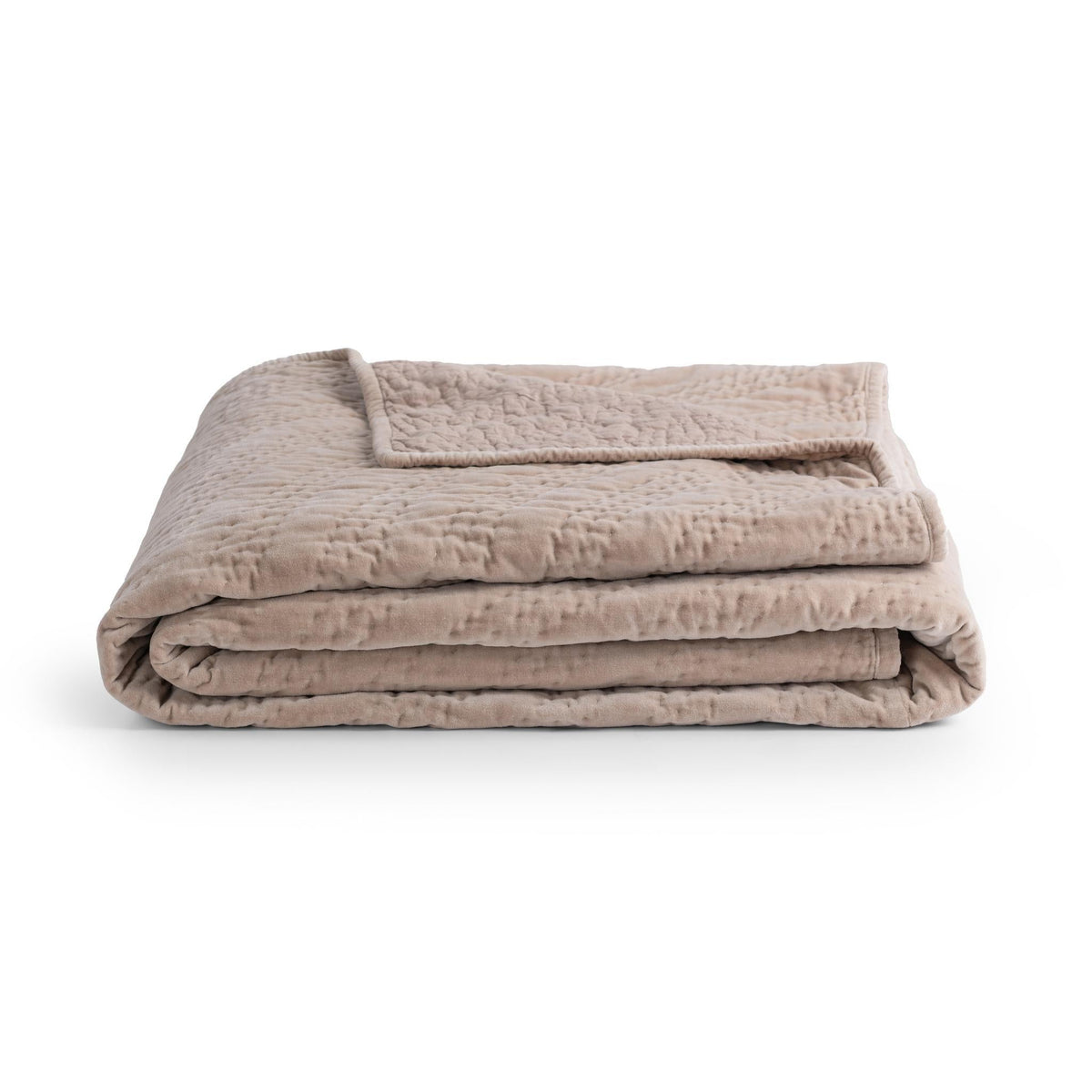 Elms Velvet Quilt Collection