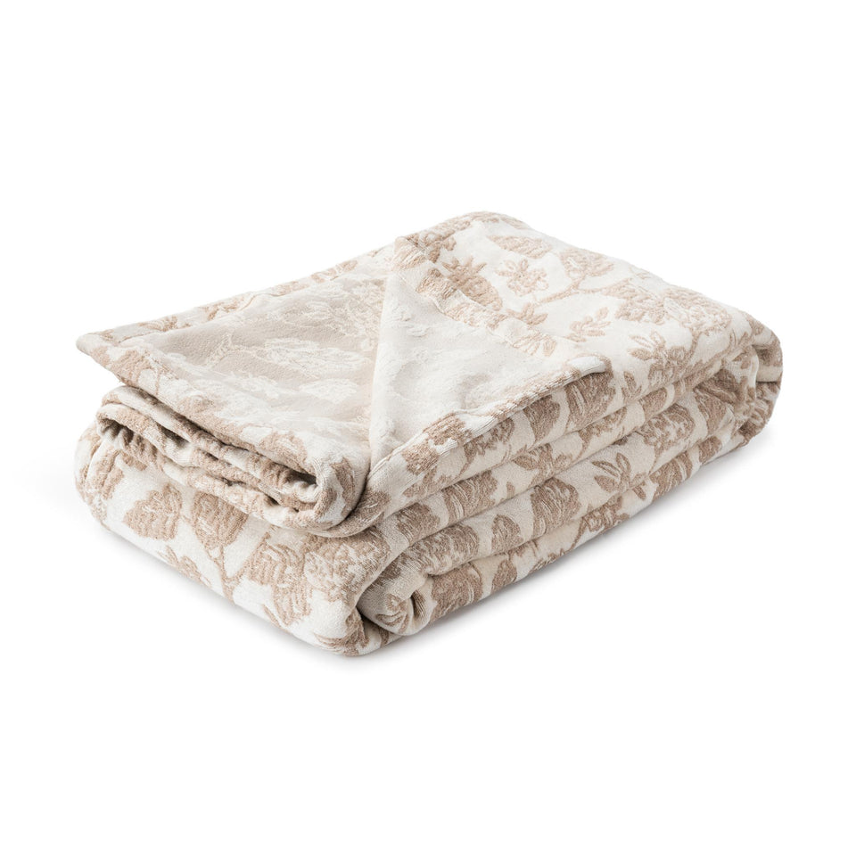 BC Aveline Collection