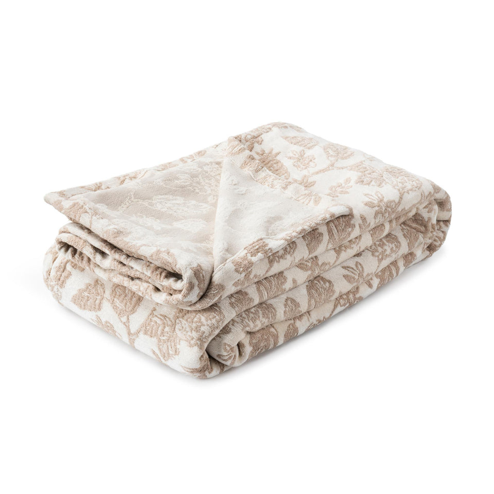 BC Aveline Collection