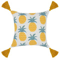 Indoor/Outdoor Sonoma Pillow