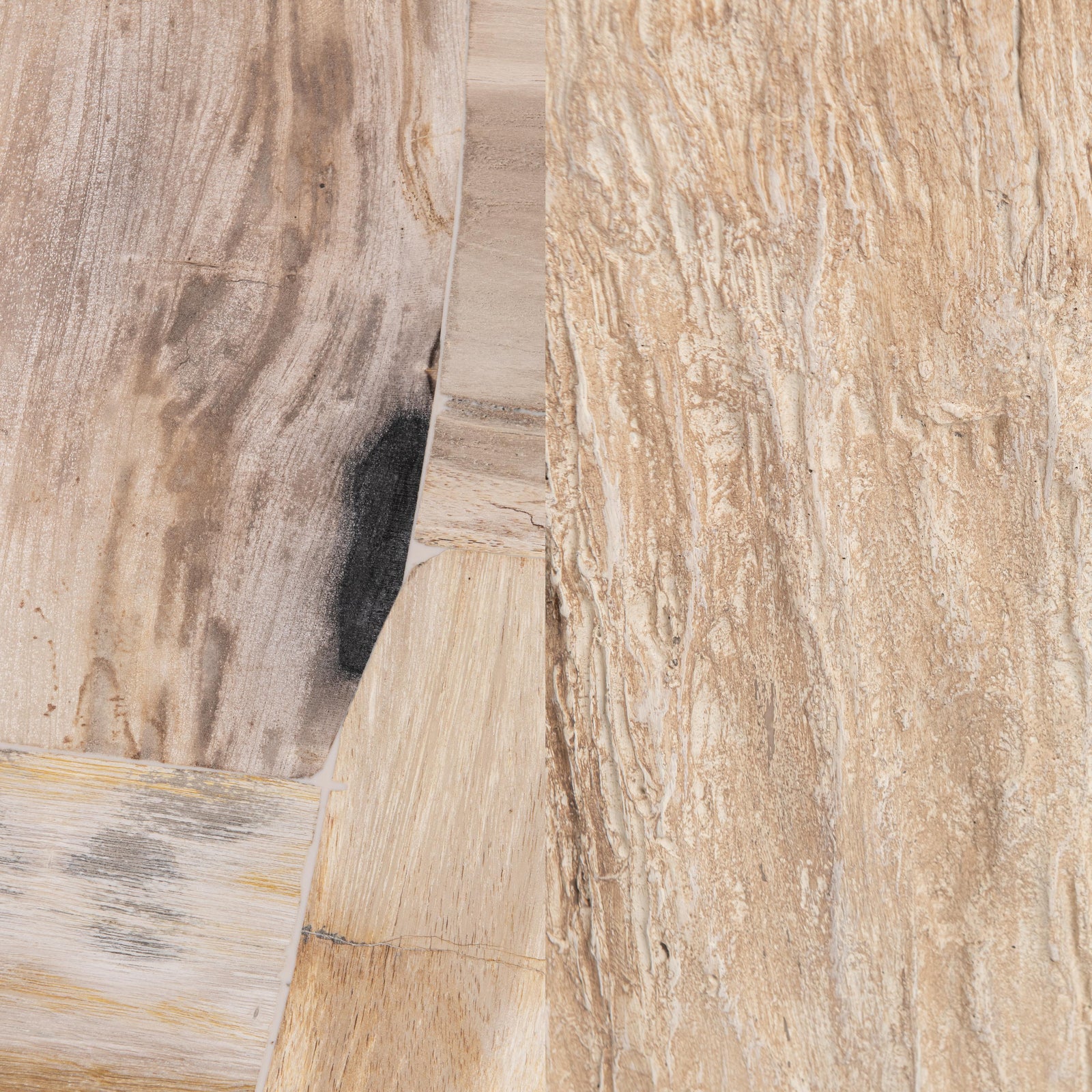 Petrified Wood